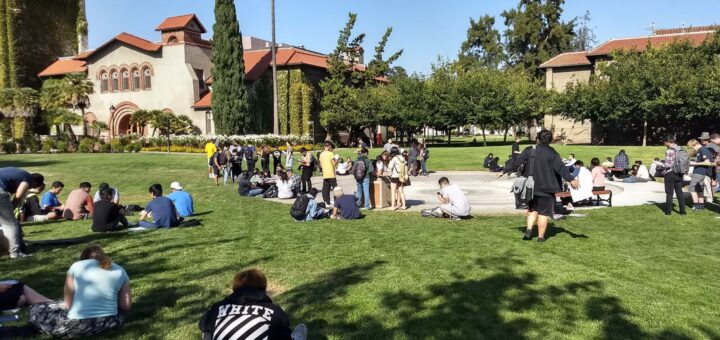 students using a grassy area