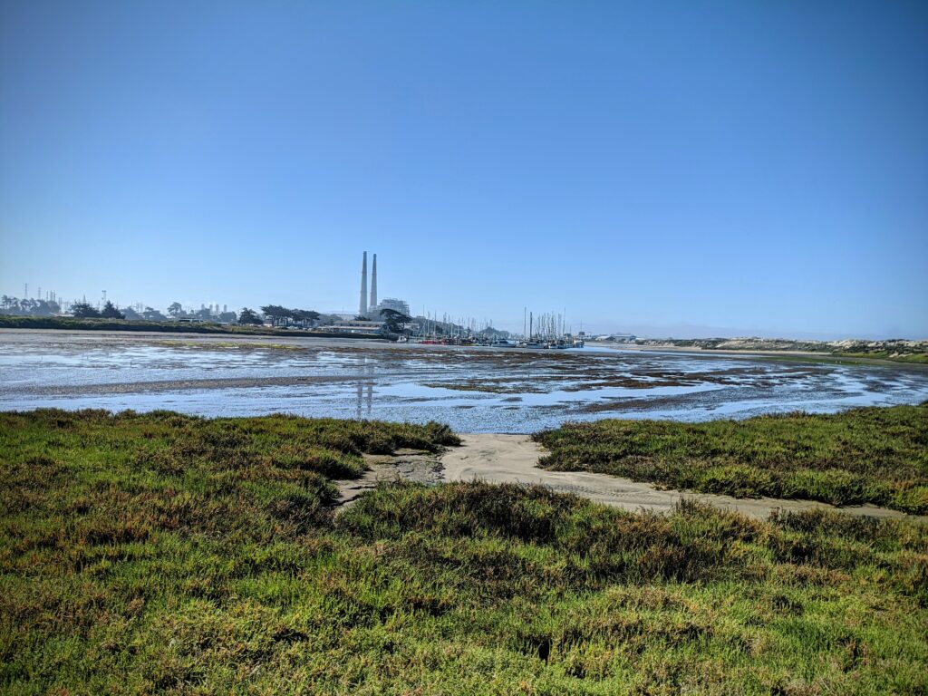 power plant with water and plants in foreground