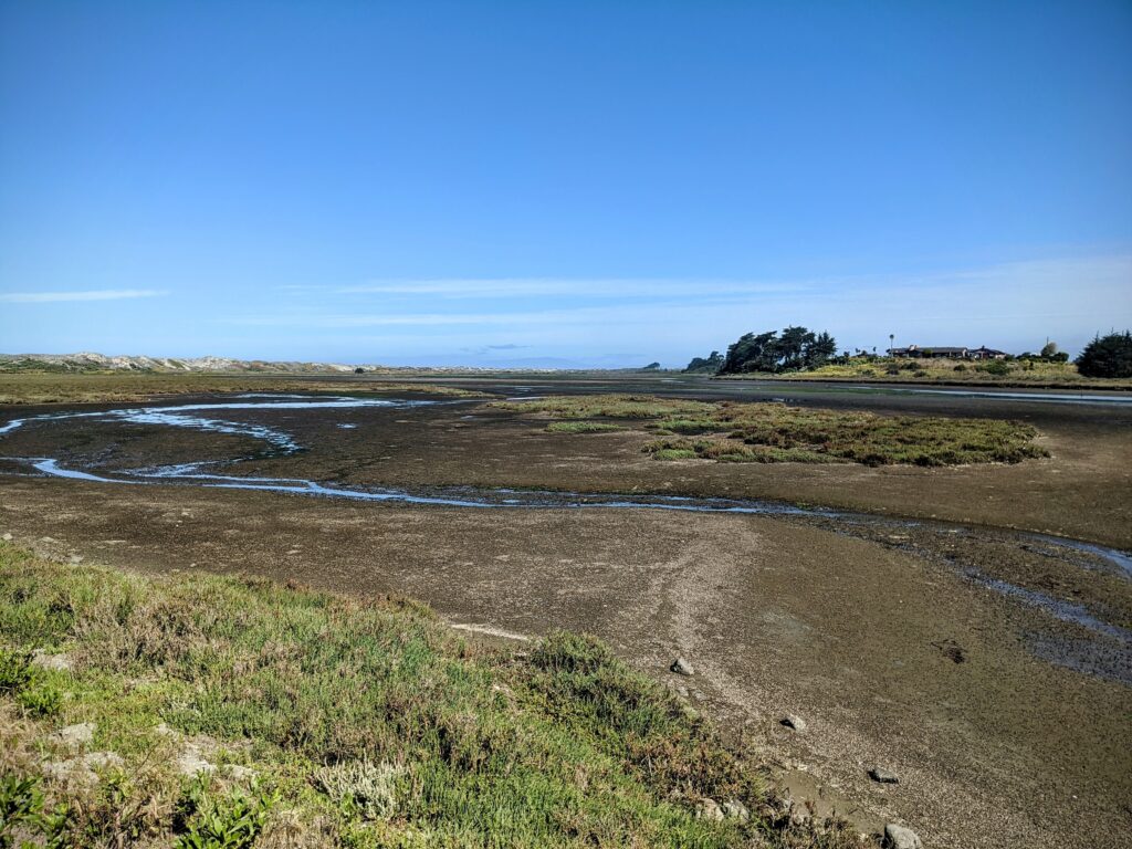 Estuary at low tide.  Mud is exposed. Elkhorn Slough Photography.