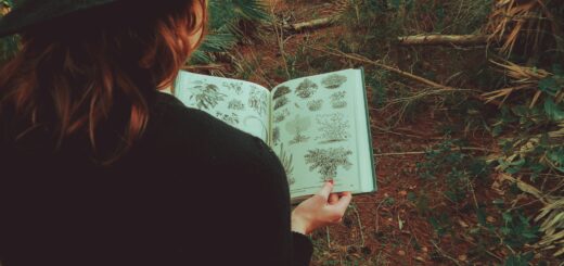 woman holding a book about plants in the forest