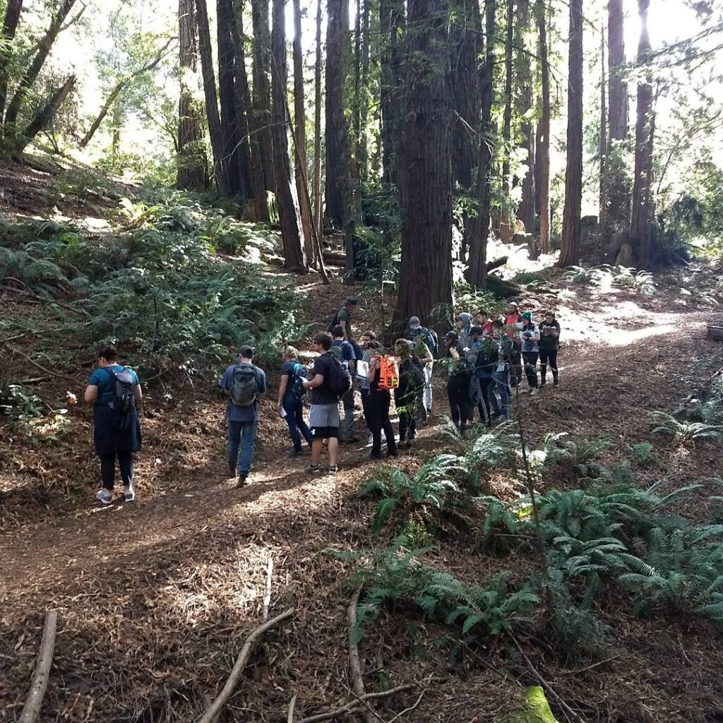 a group of people look at plants in a forest. teaching outside.