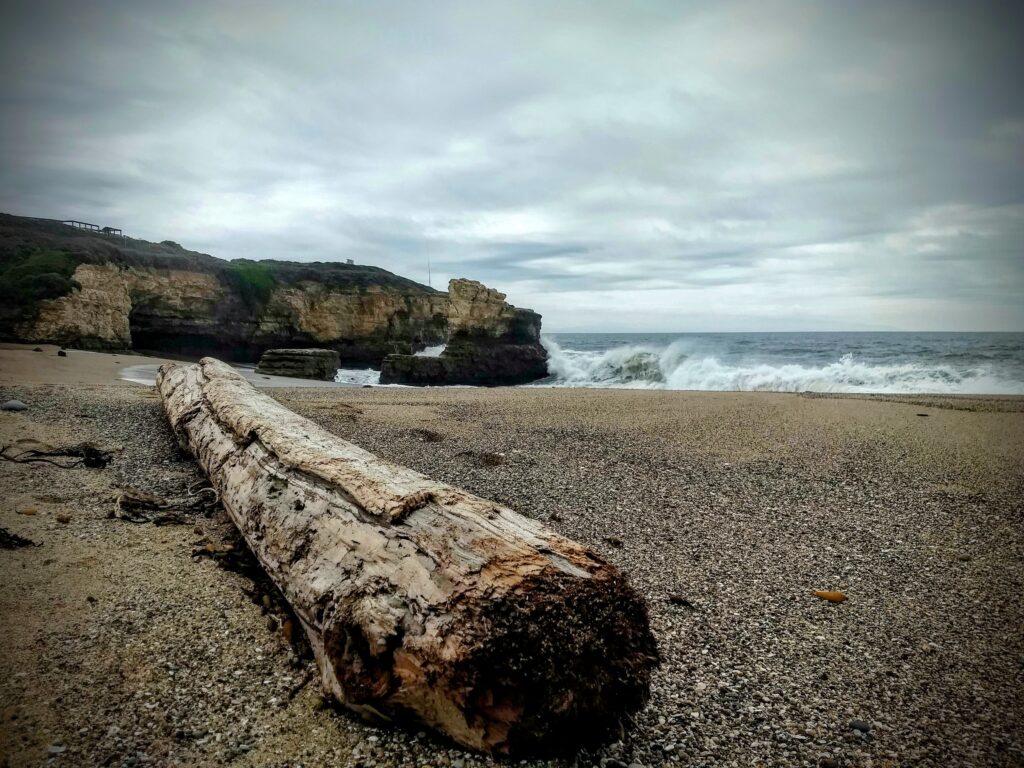 A large piece of driftwood lies on a beach.  Cliffs and waves breaking on shore are in the background.
Driftwood photograph California coast.