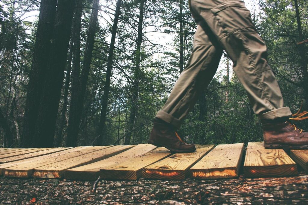 a person walking on a wooden bridge in the forest. teaching outside.