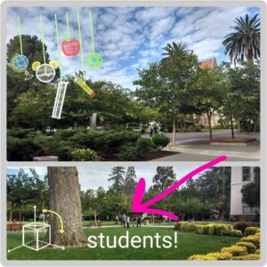 Students experience the outdoors. Upper: shrubs, trees, and buildings.  A group of people barely visible behind shrubs.  Lower: Grass area with large tree and a building. A group of people stand on grass.