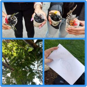 Upper: plastic insects in cups held by 4 hands. Lower left: green tree leaves. Lower right: a paper with a bee sketched on it.